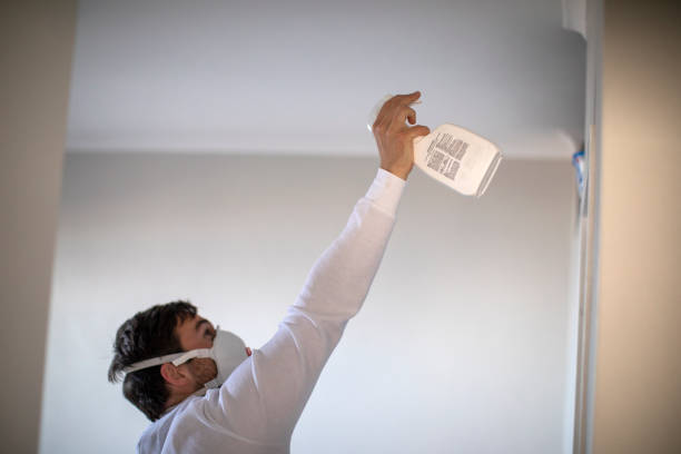 Best Fast Mold Removal  in Savanna, IL