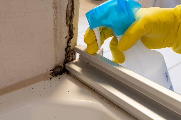 Best Mold Testing  in Savanna, IL