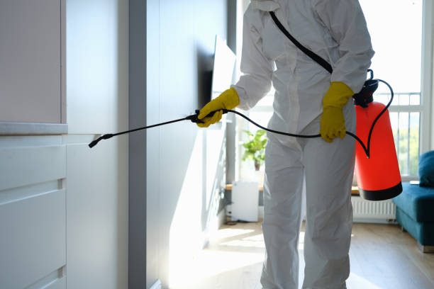 Best Toxic Mold Removal  in Savanna, IL