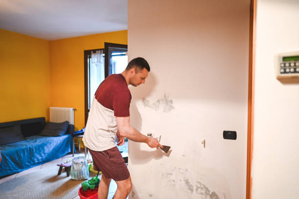 Best Office Mold Removal Services  in Savanna, IL